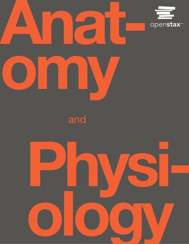 J. Gordon Betts, Peter DeSaix, Eddie Johnson, Jody E. Johnson, Oksana Korol, Dean H. Kruse, Brandon Poe, James A. Wise, Mark Womble, Kelly A. Young, James A. Wise, Eddie Johnson, OpenStax, Peter Desaix: Anatomy and Physiology (OpenStax, Rice University)