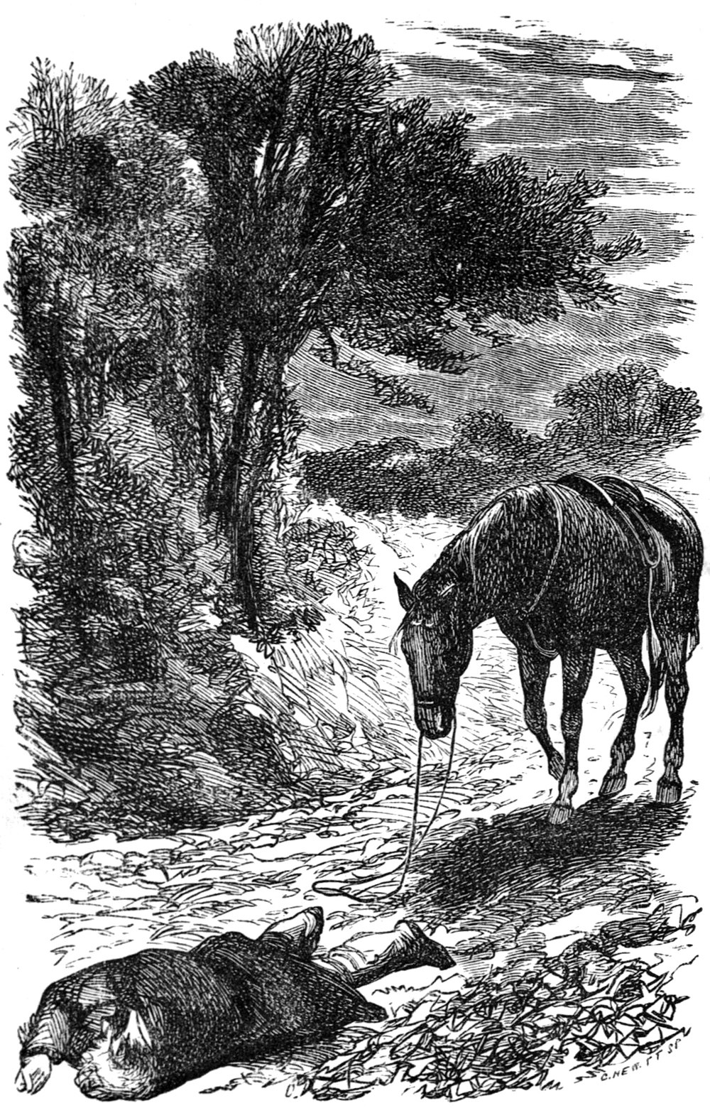 Anna Sewell: Black Beauty (1877, Jarrold)
